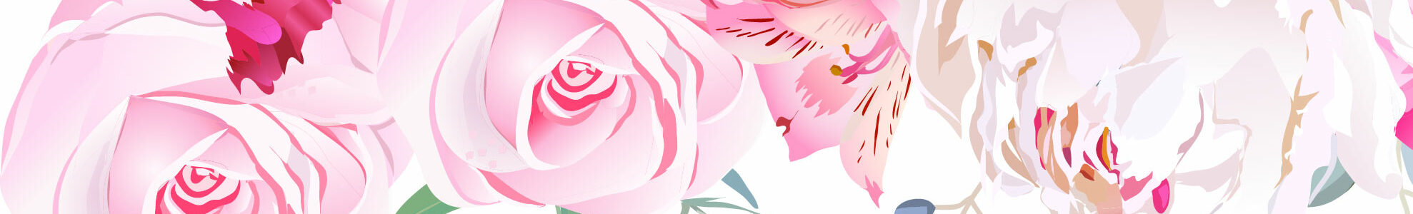rose rose